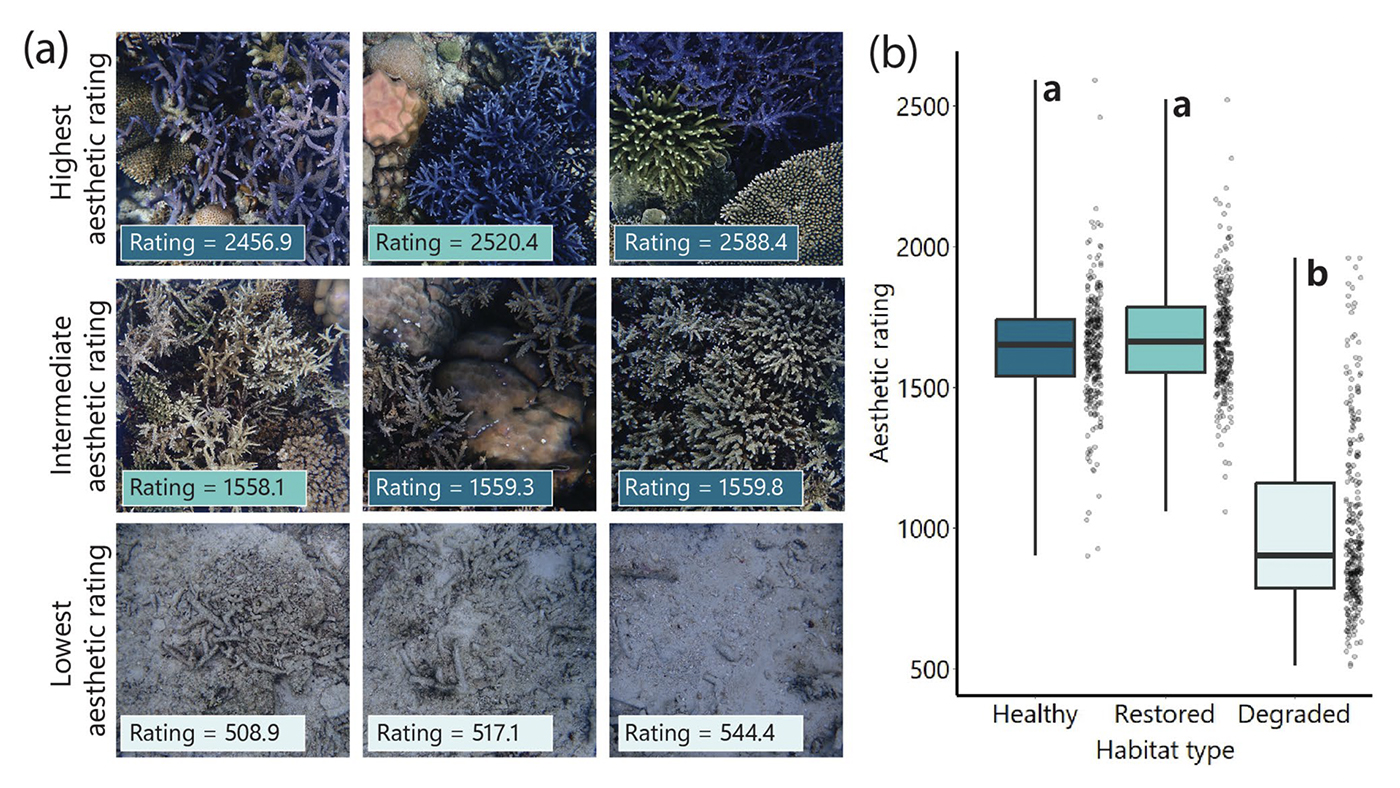 Figure from Alisa et al. 2025