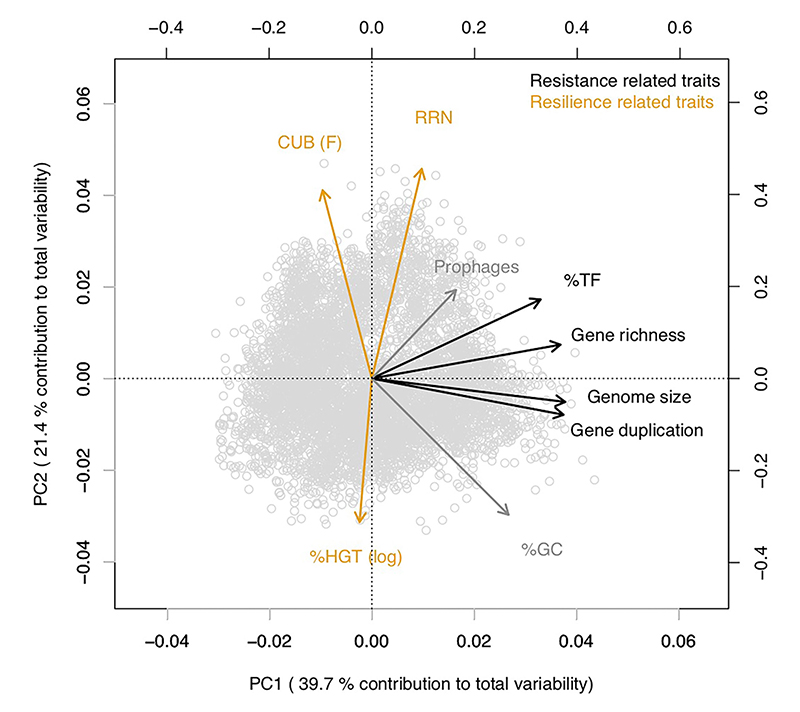 Figure from Beier et al. 2022