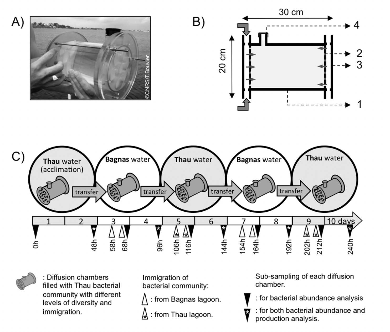 Figure from Bouvier et al. 2012