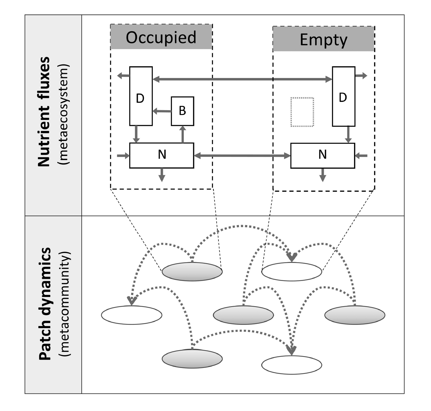 Figure from Gravel et al. 2010