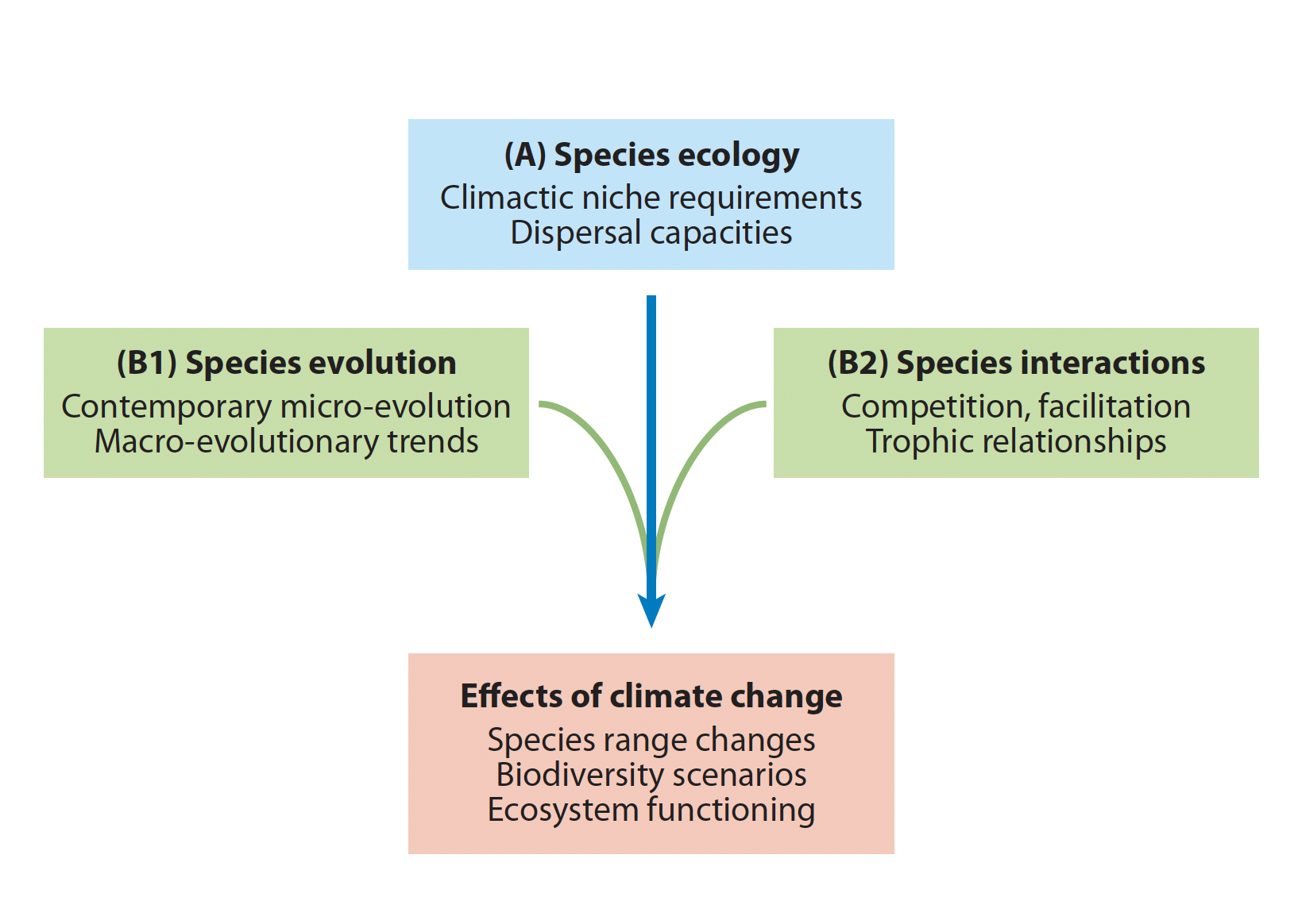 Figure from Lavergne et al. 2010
