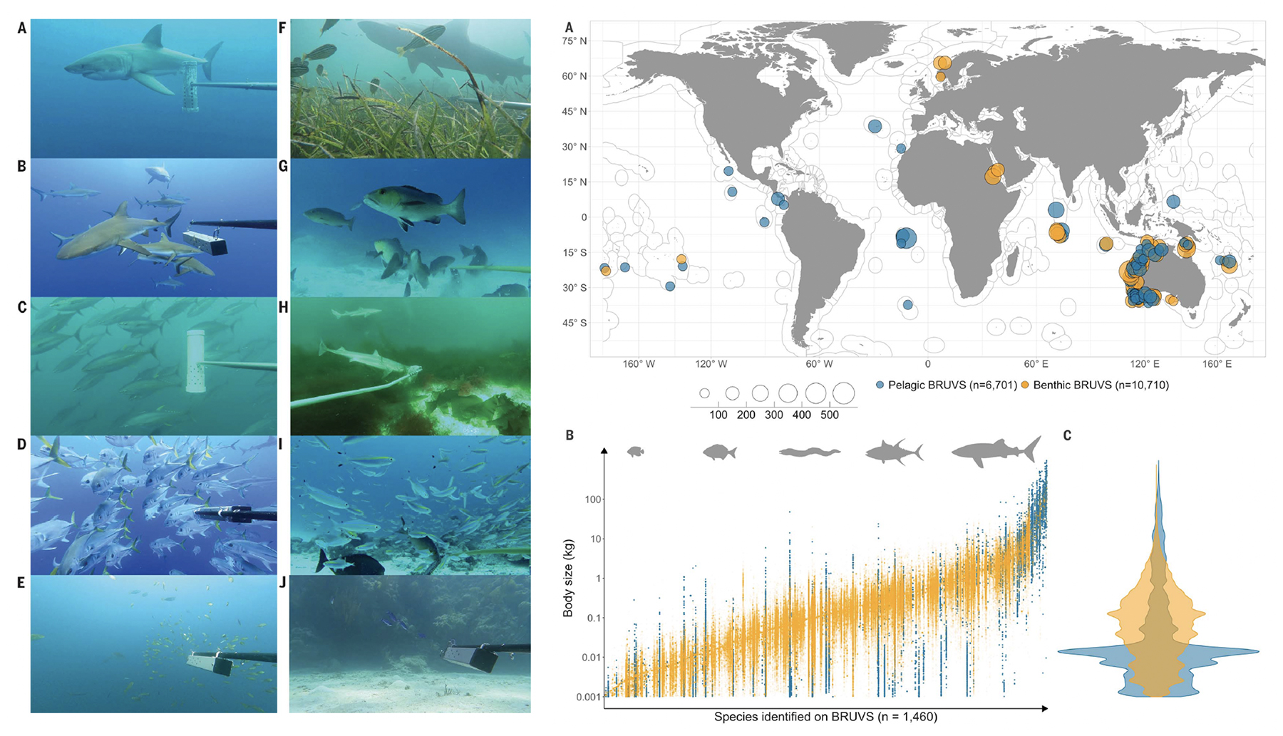 Figure from Letessier et al. 2024