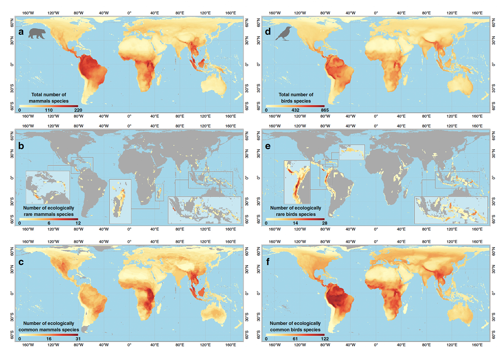 Global distribution of mammal and bird species considering only unglaciated areas, from Loiseau, Mouquet et al. Nature Communications 2020