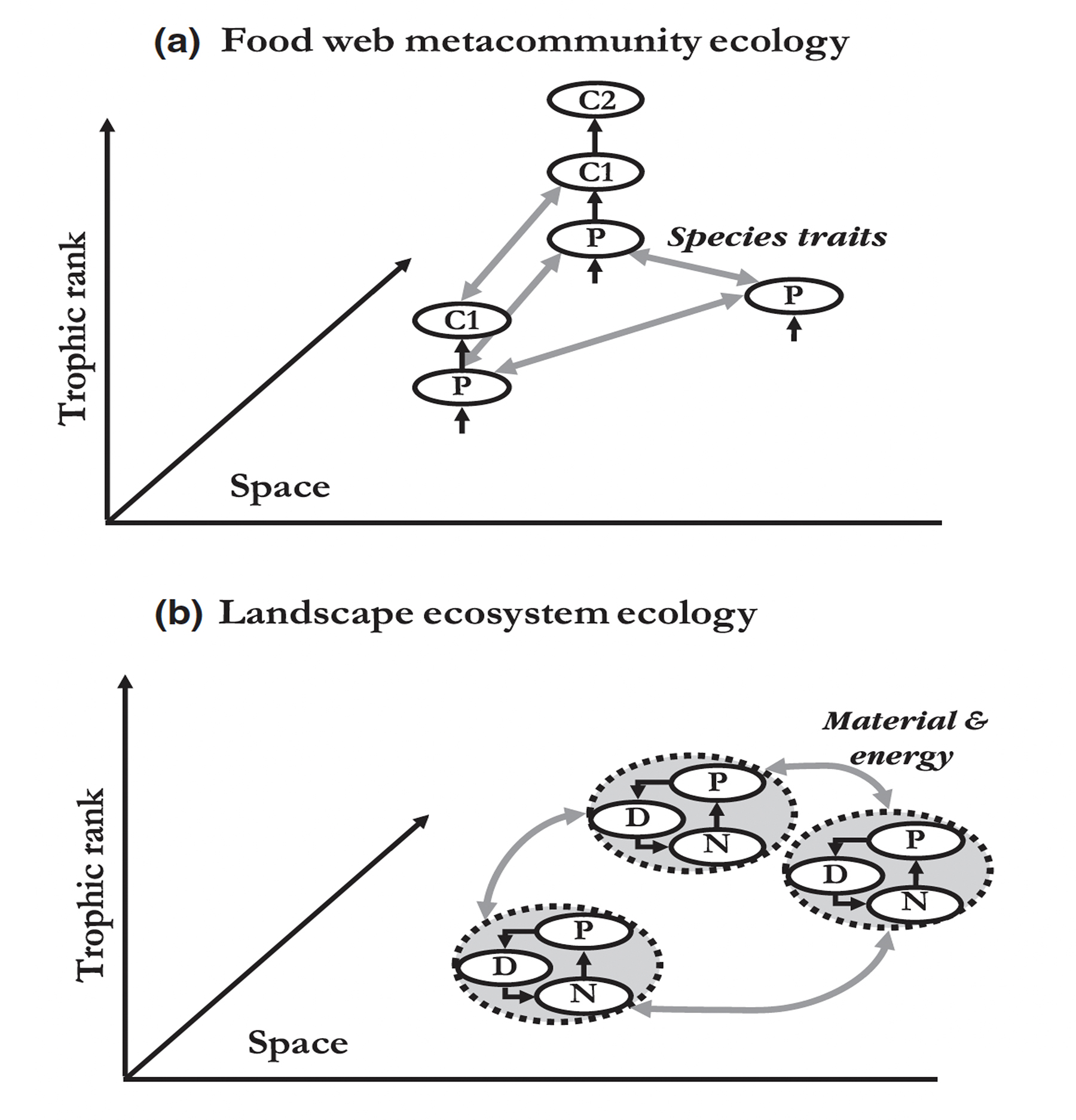 Figure from Massol et al. 2011