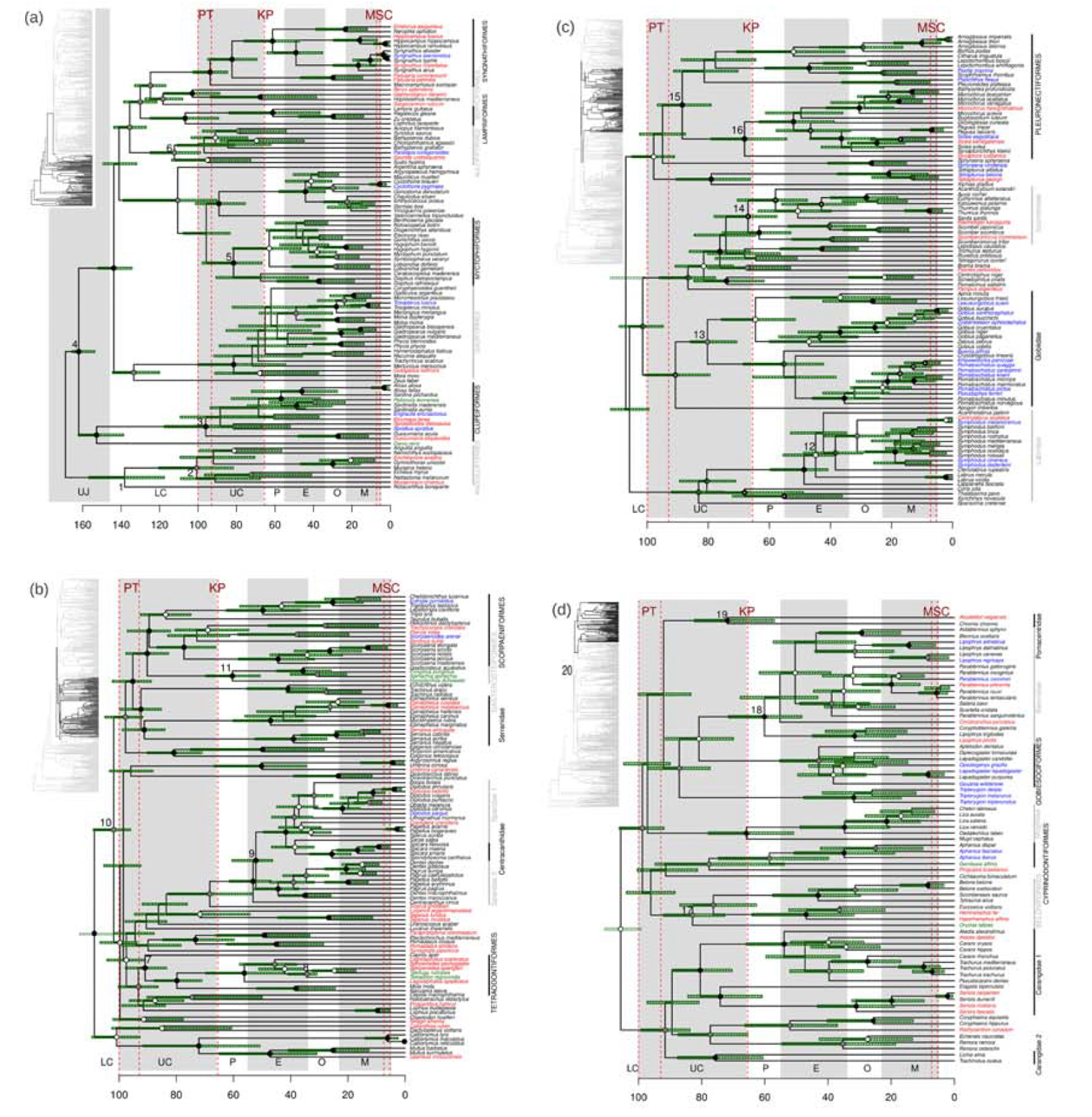 Figure from Meynard et al. 2012