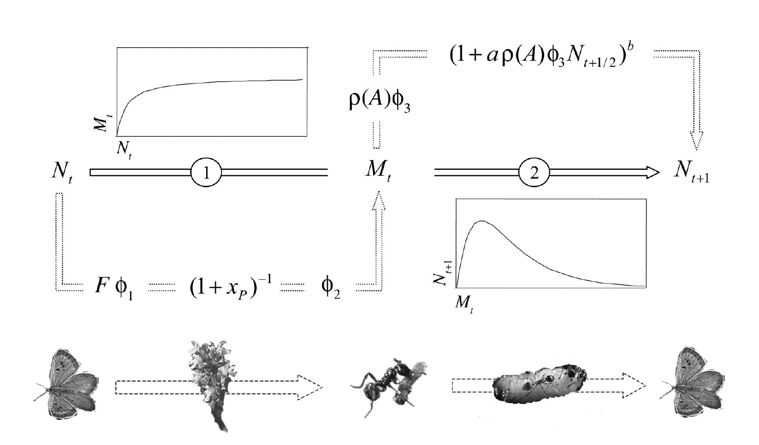 Figure from Mouquet et al. 2005