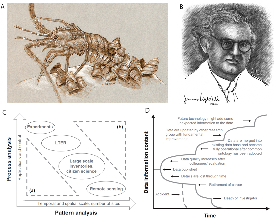 Figure from Mouquet et al. 2015