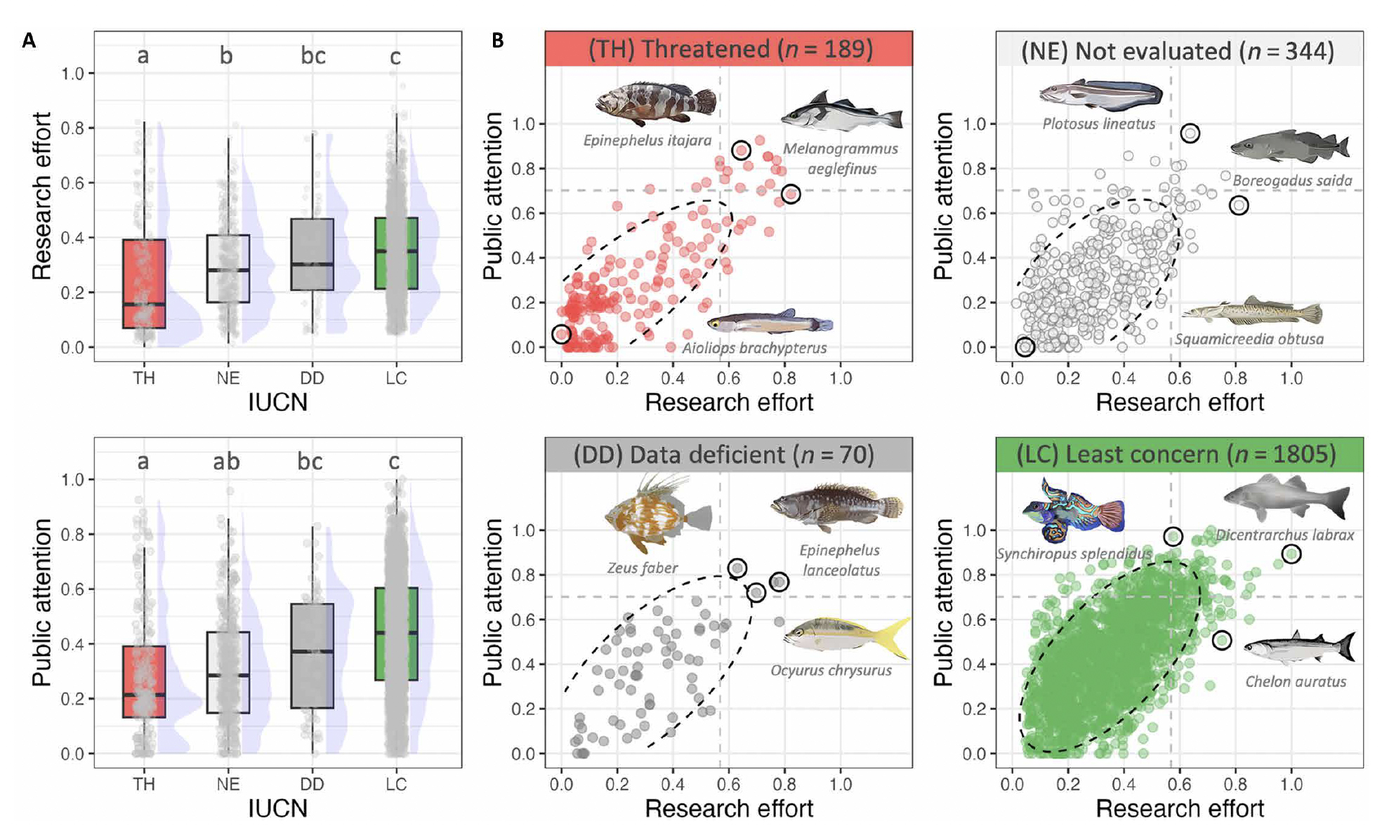 Figure from Mouquet et al. 2024