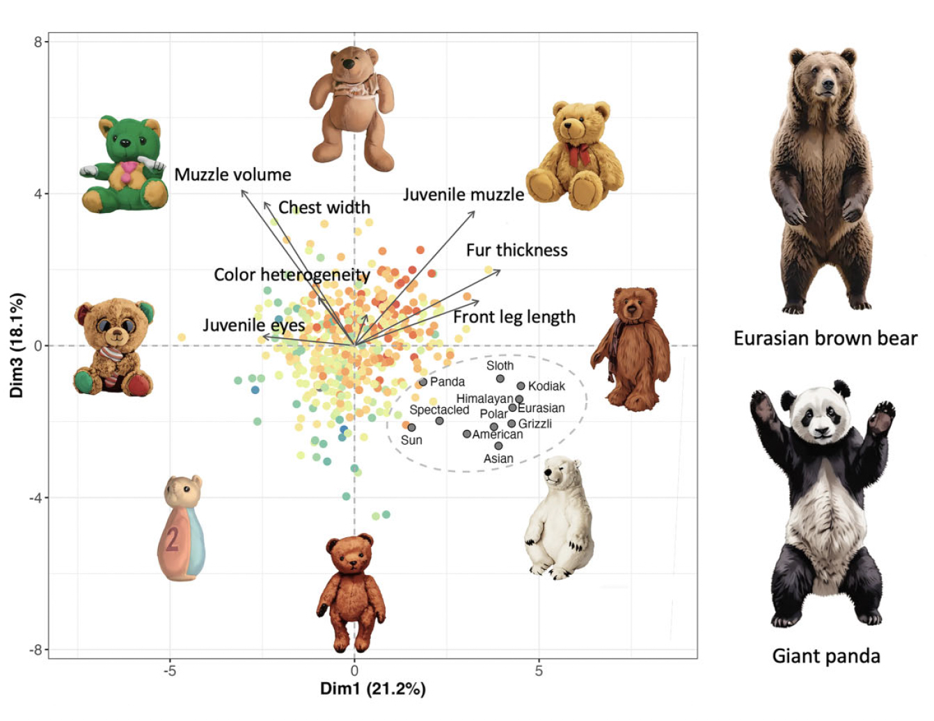 Figure from Mouquet et al. 2025