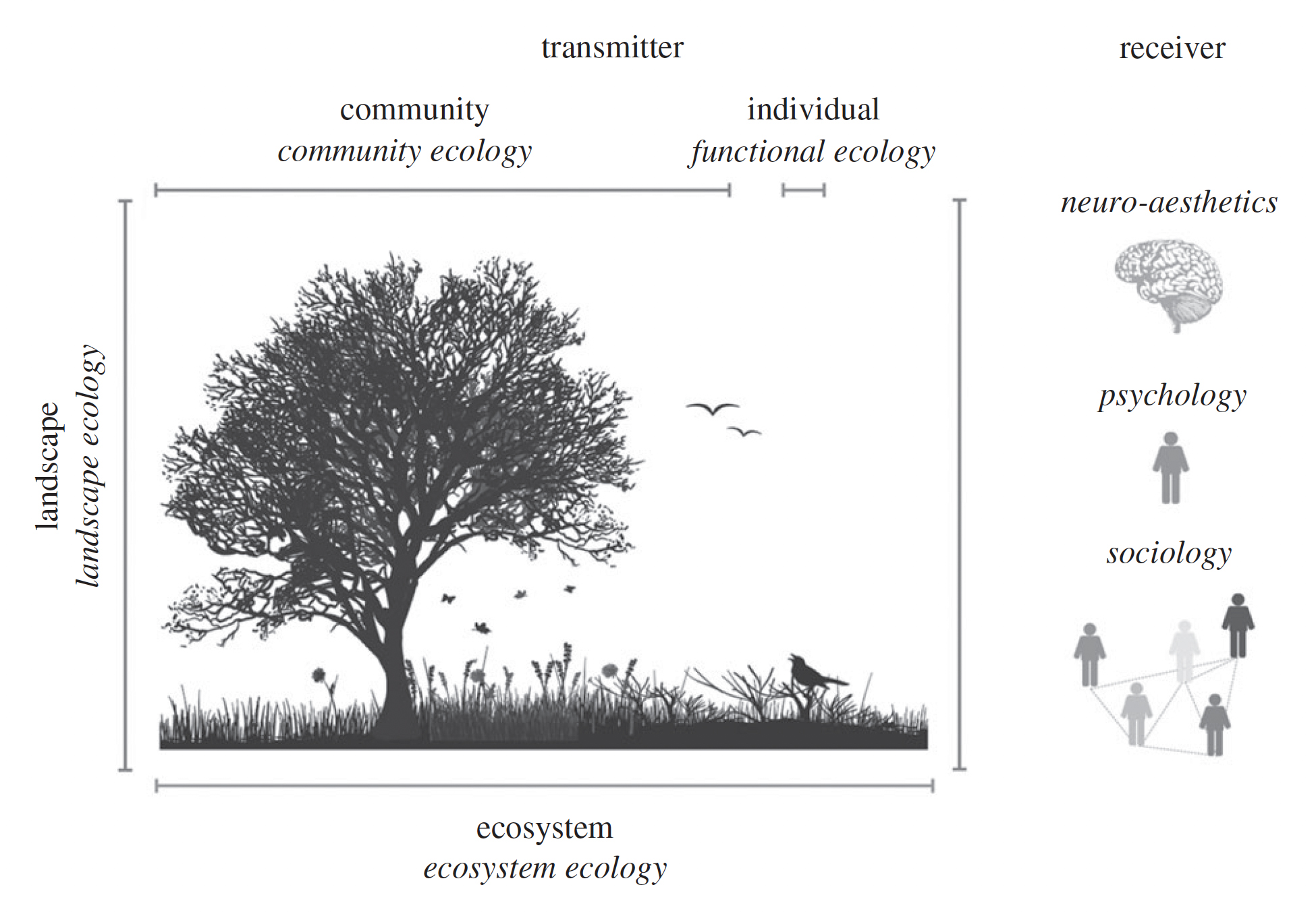 Figure from Tribot et al. 2018
