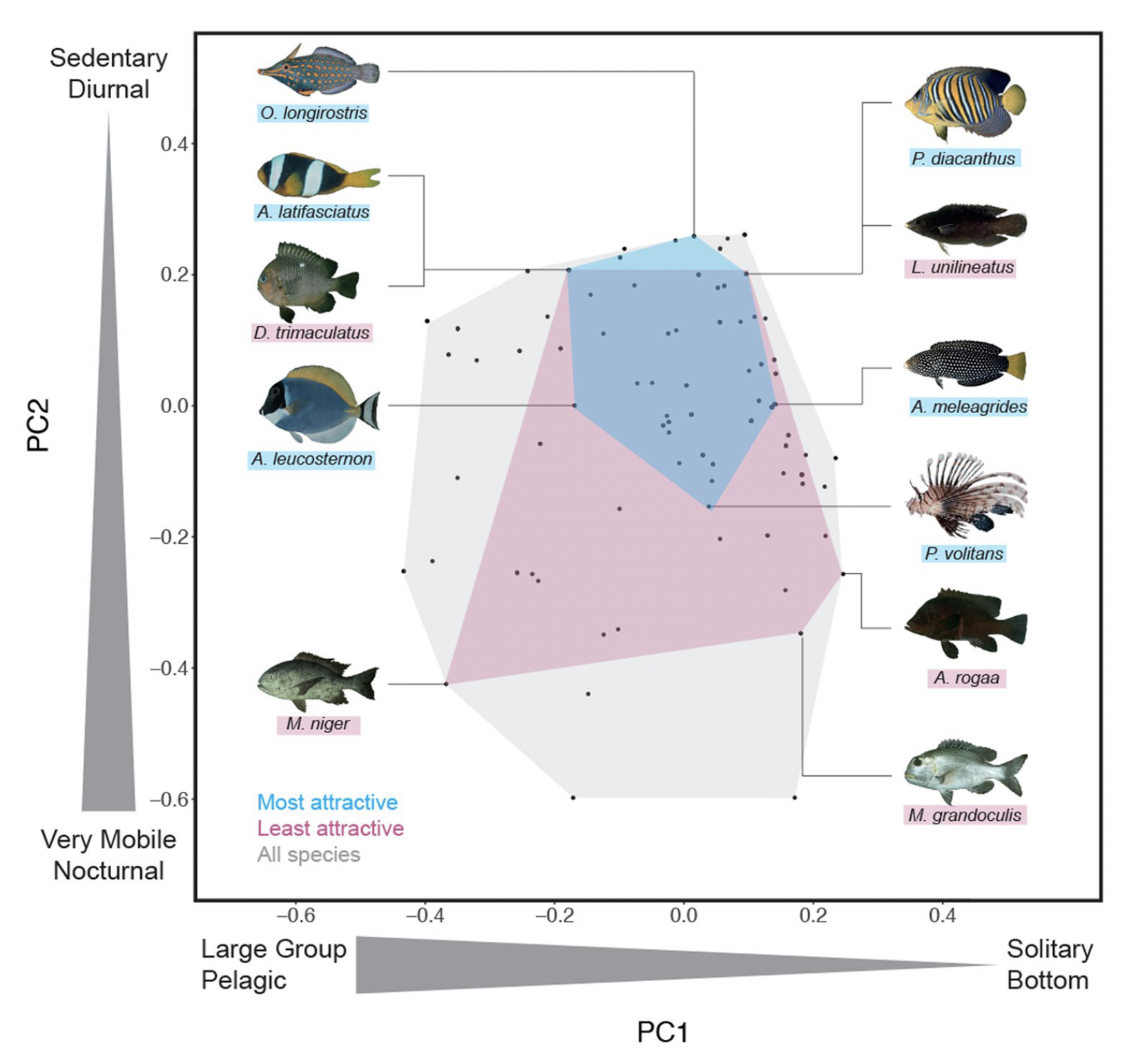 Figure from Tribot et al. 2018