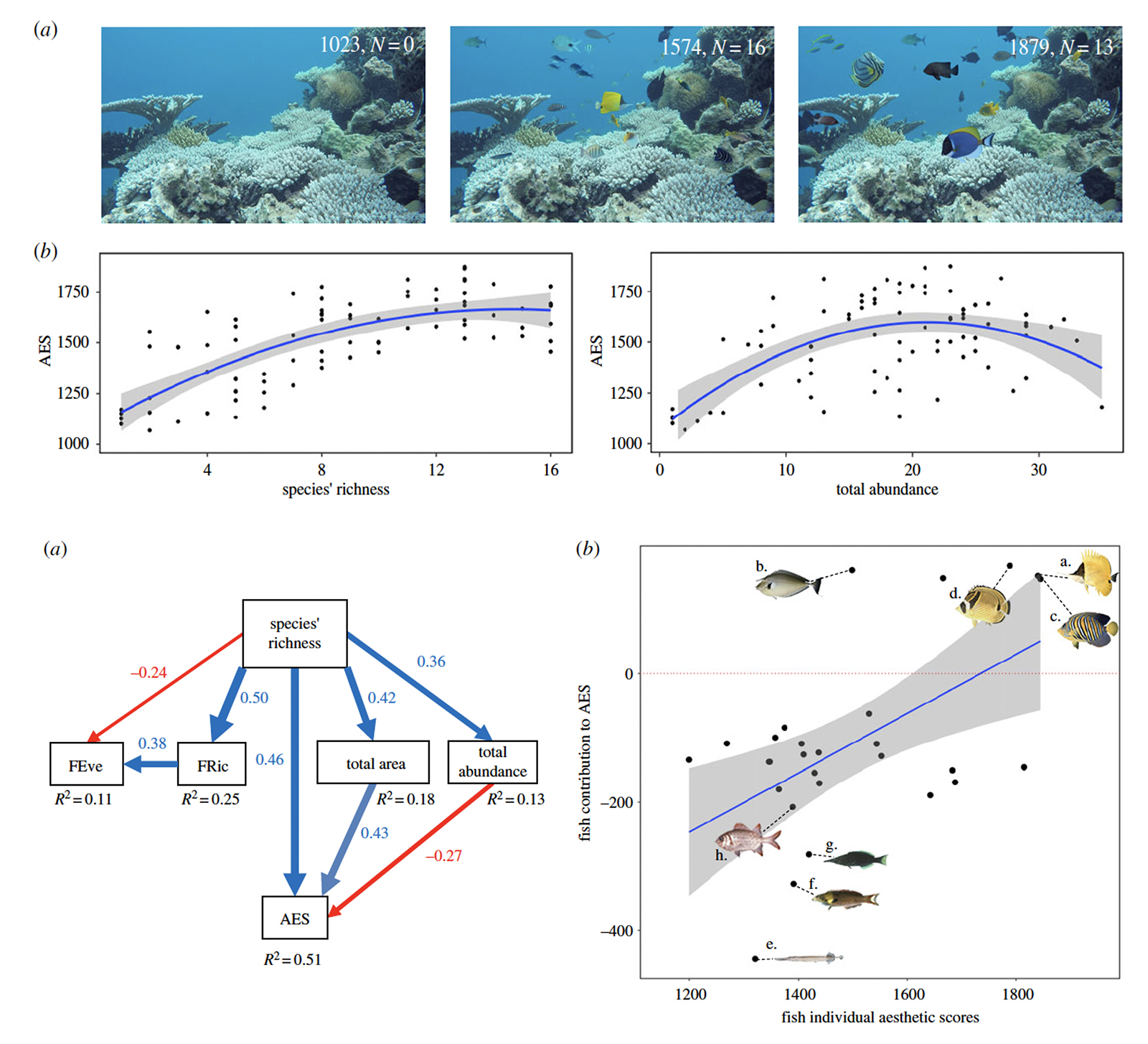 Figure from Tribot et al. 2019