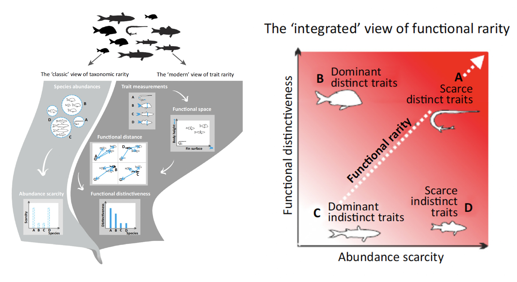Figure from Violle et al. 2017