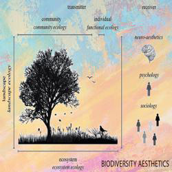 Aesthetics Value of Biodiversity icon