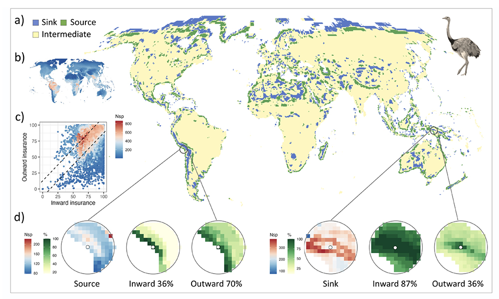 Global distribution of spatial insurance for functionally distinct bird species from Mouquet et al. 2025