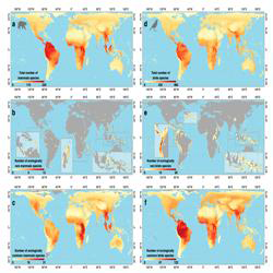 Functional Rarity icon