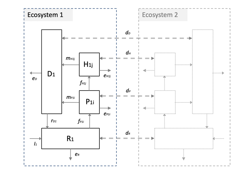 Example of a metaecosystem framework showing local ecosystem structure and spatial flows, from Gravel et al. 2010