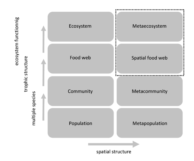 Metaweb illustration representing trophic biogeography research