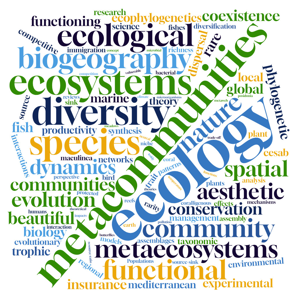 Word cloud representing Reviews and Synthesis research themes