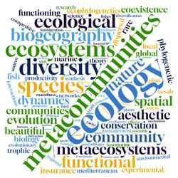 Reviews and Synthesis icon